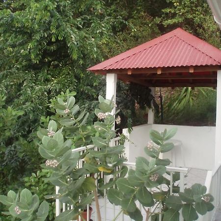 Studio De Charme Au Coeur Du Village, Belle Vue Baie Des Saintes, Proche Debarcadere Et Commodites Terre-De-Haut Extérieur photo