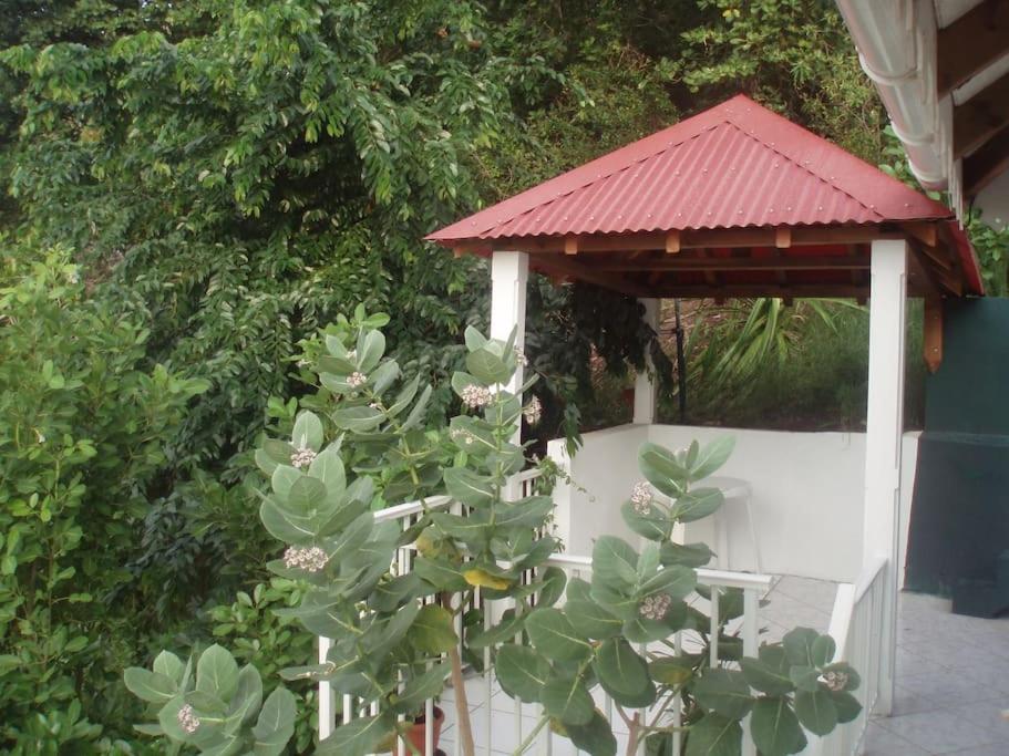 Studio De Charme Au Coeur Du Village, Belle Vue Baie Des Saintes, Proche Debarcadere Et Commodites Terre-De-Haut Extérieur photo